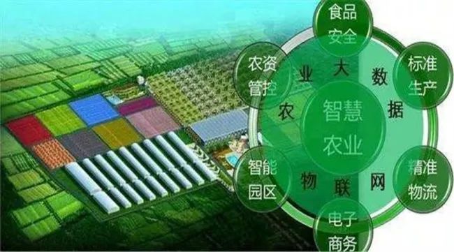 全程追溯,用数据把好农产品“生产关”