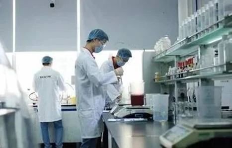 推进技术创新,实现行业新突破